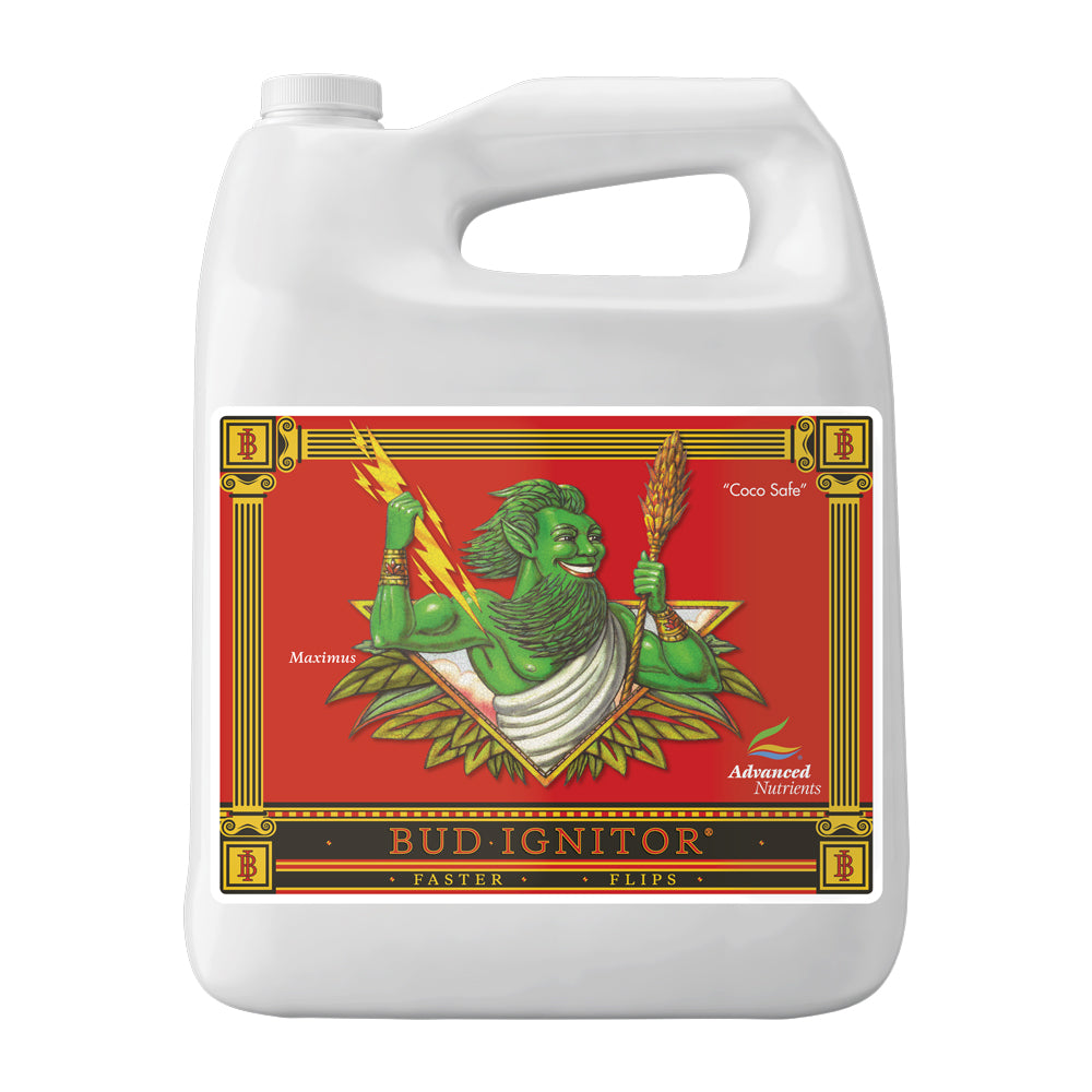 Bud Ignitor