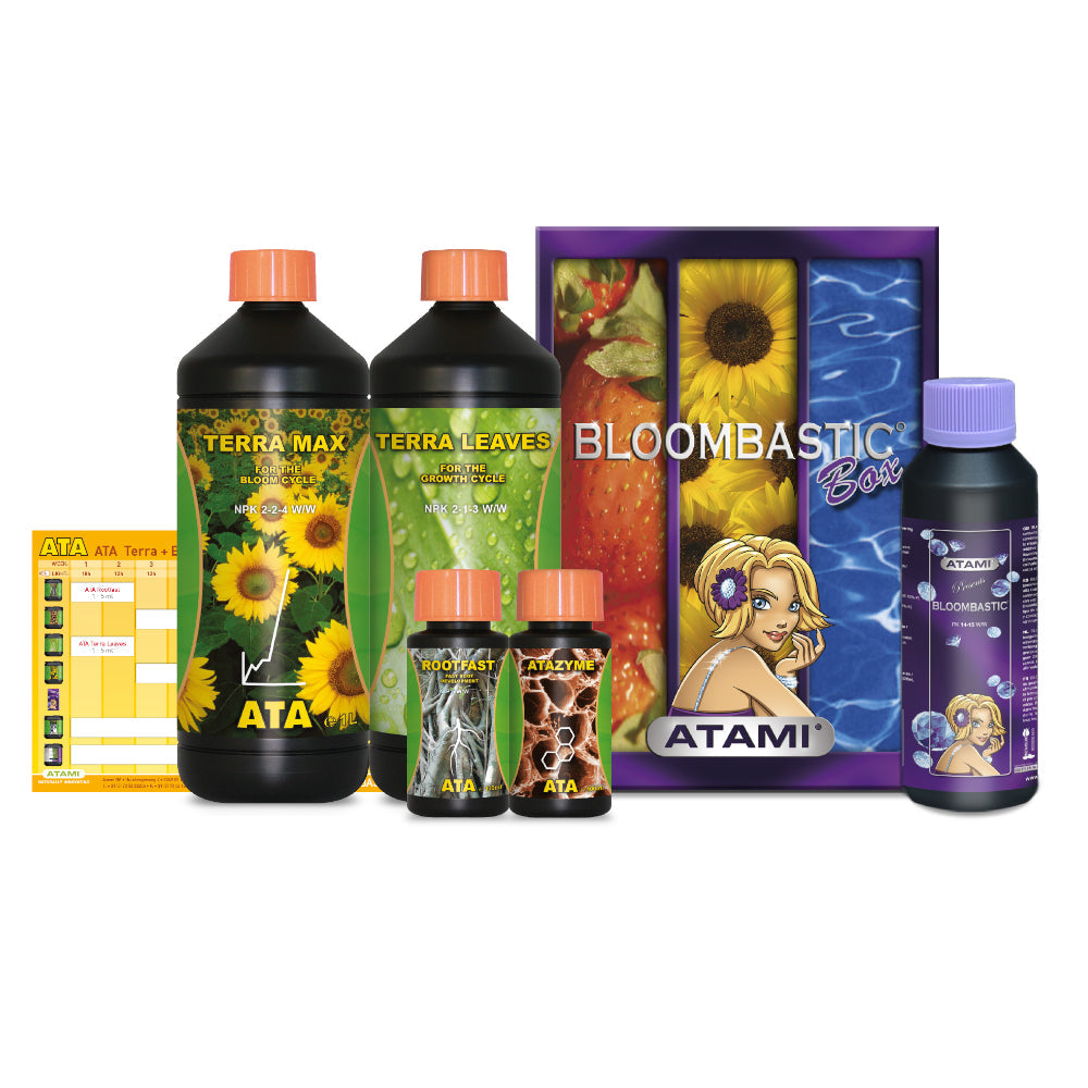 Atami - Bloombastic box Ata/Terra