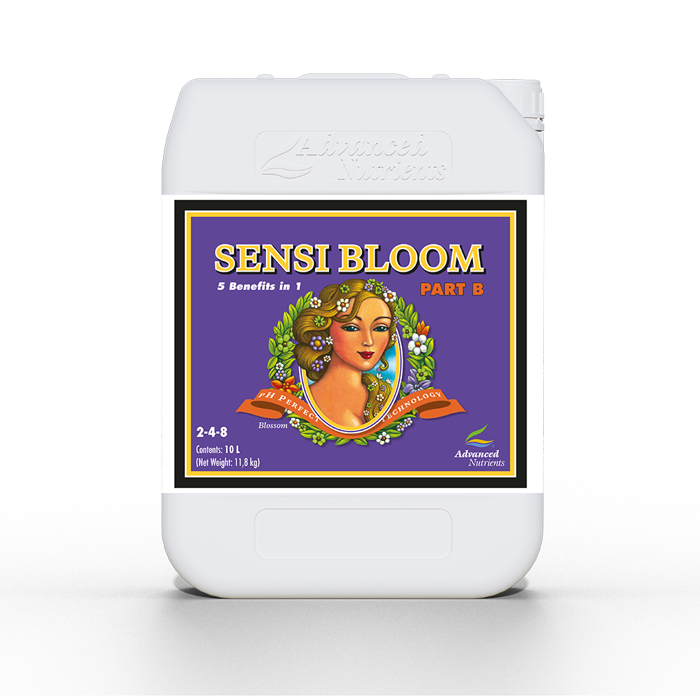 Sensi Bloom B