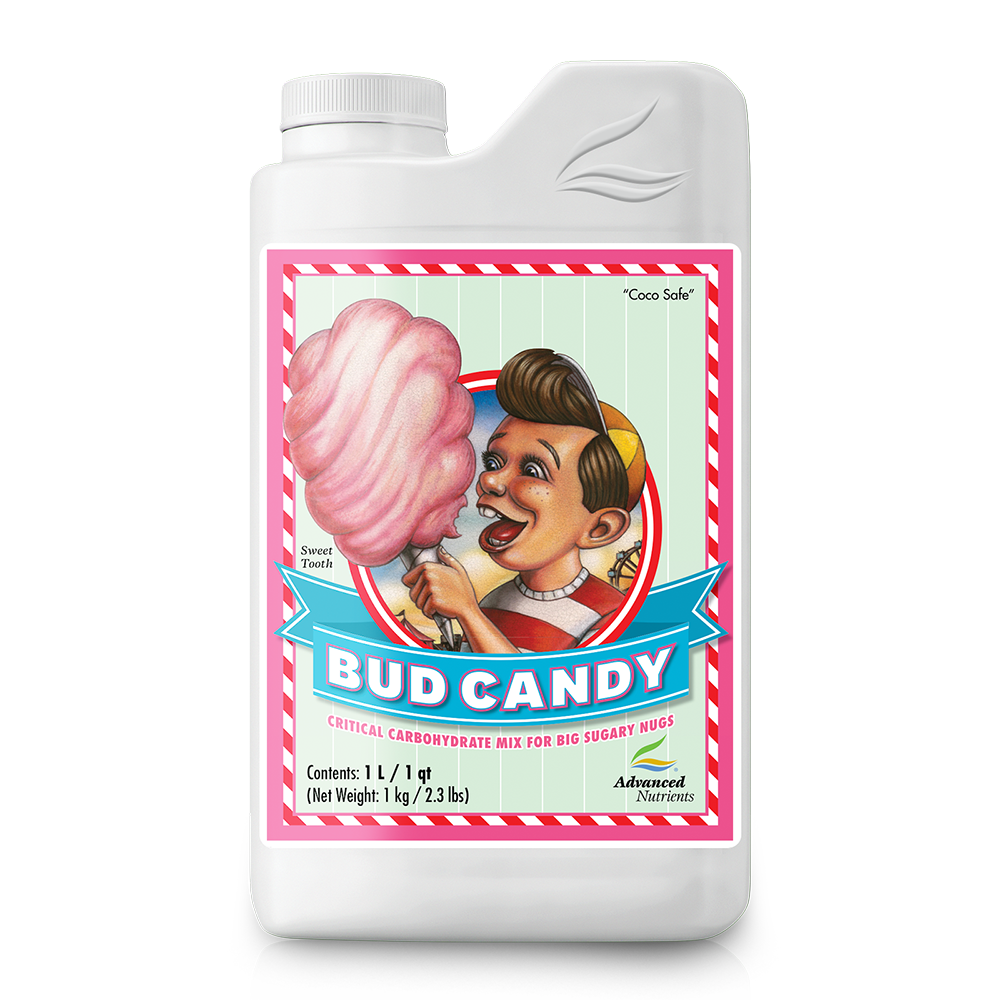 Bud Candy
