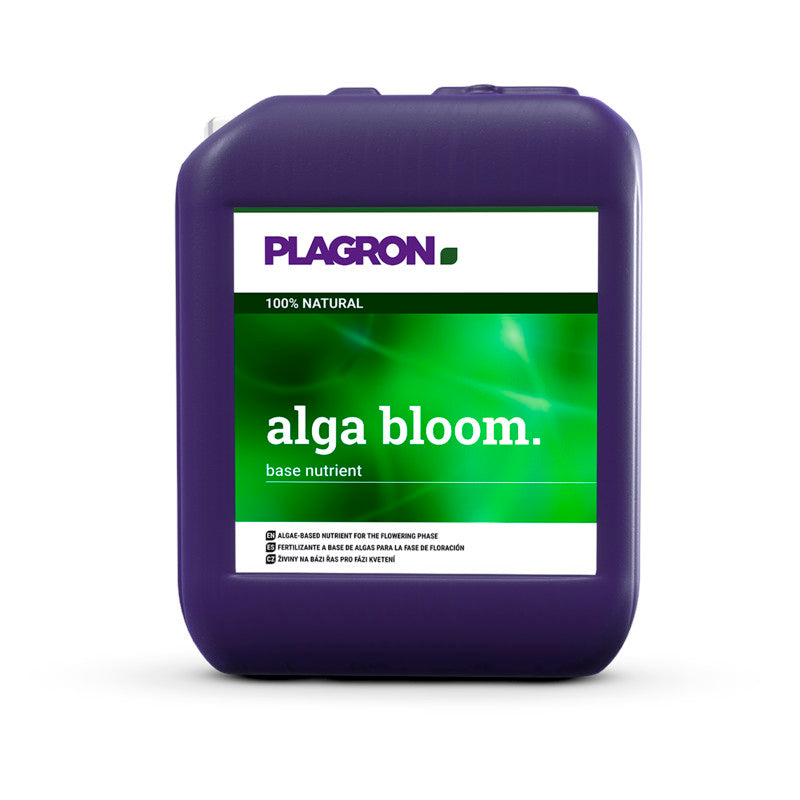 Alga Bloom