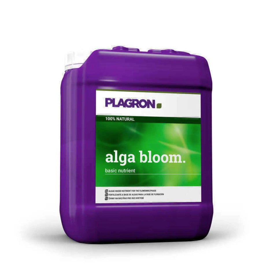 Alga Bloom