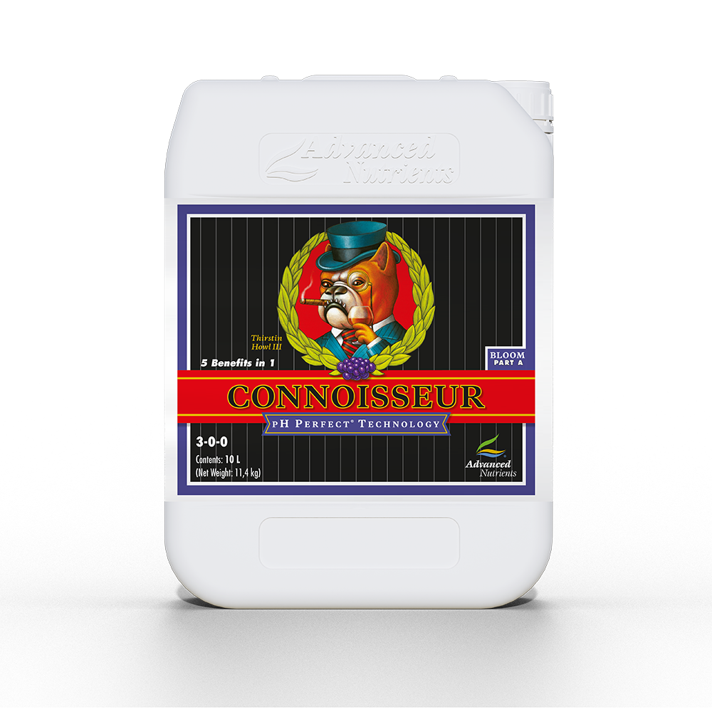 PH Perfect Connoisseur Bloom A