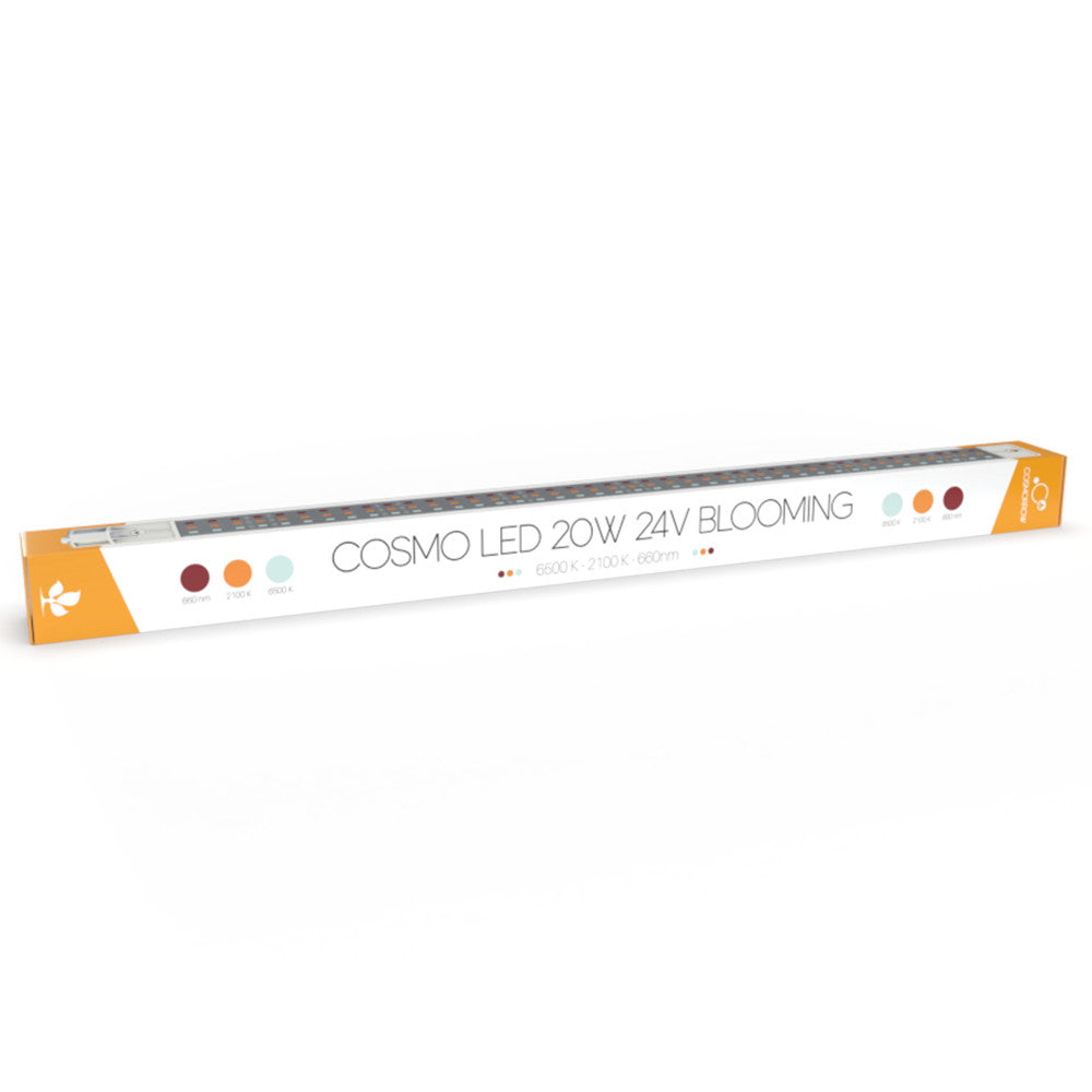 Secret Jardin - led cosmorrow ppe2.4 bloom