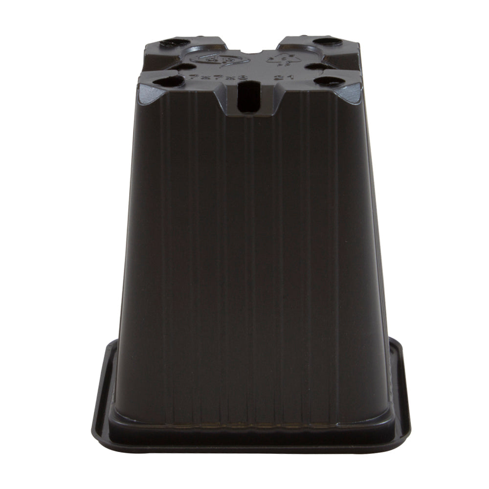 maceta 7 x 7 x 8 () serie f negra