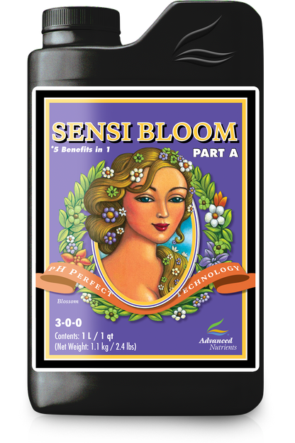 Sensi Bloom A