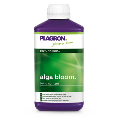 Alga Bloom