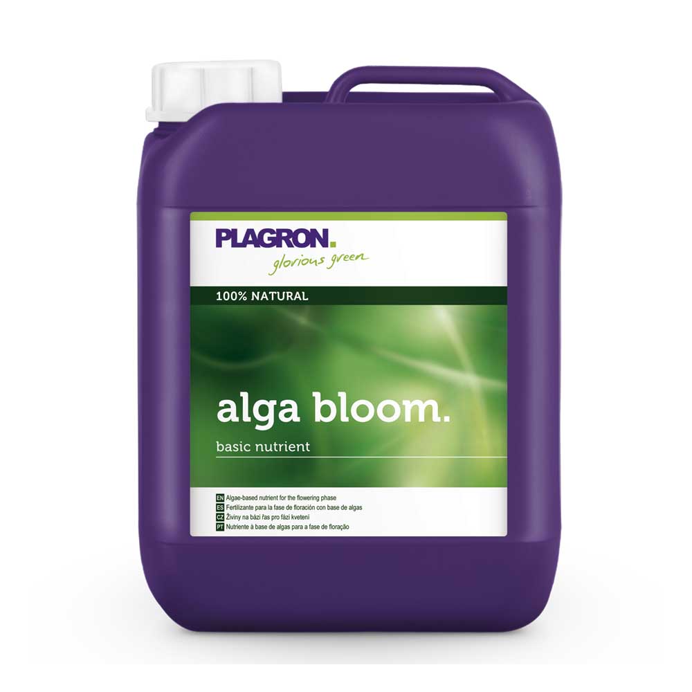 Alga Bloom