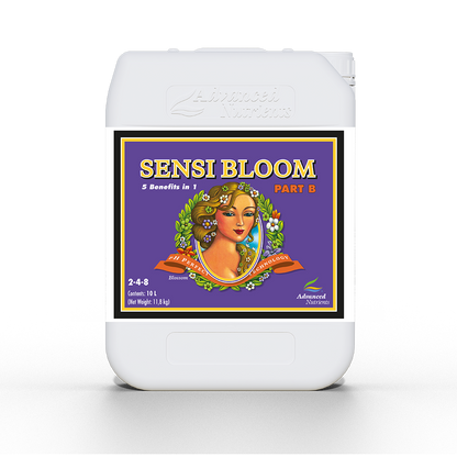 Sensi Bloom B