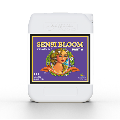 Sensi Bloom A