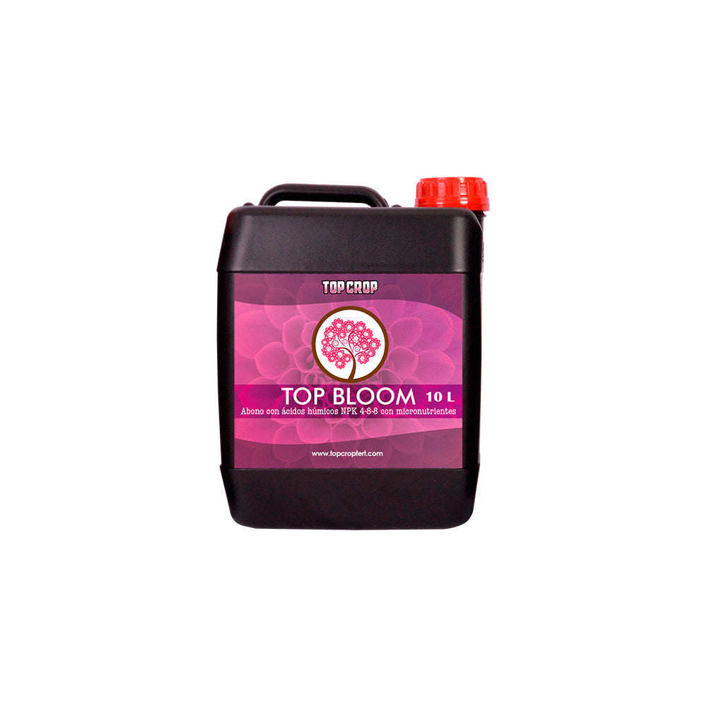 Top Bloom