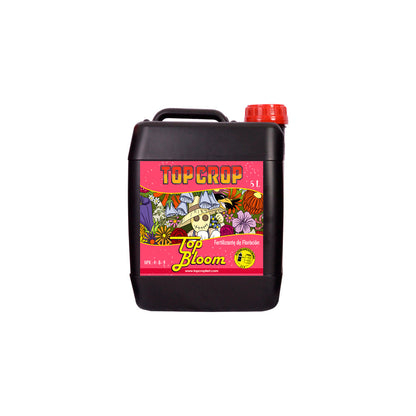 Top Bloom