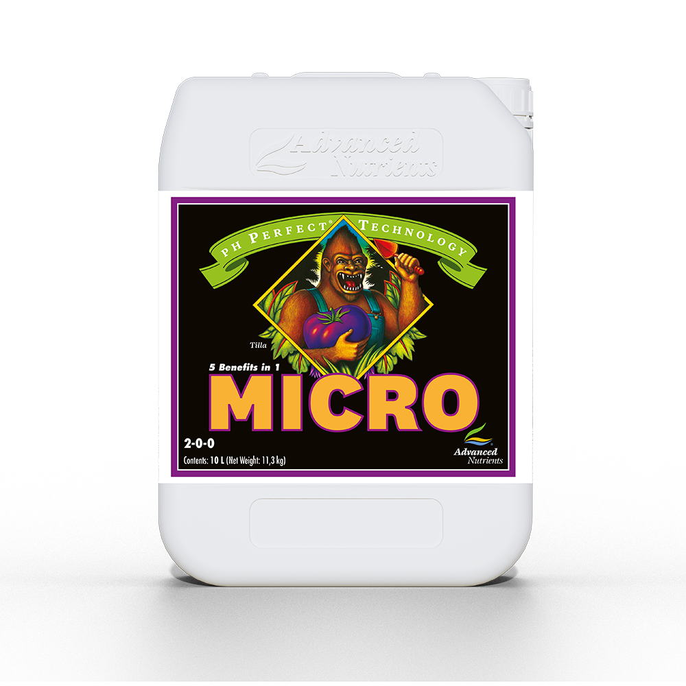 Advanced Nutrients - Big Bud Coco Liquid